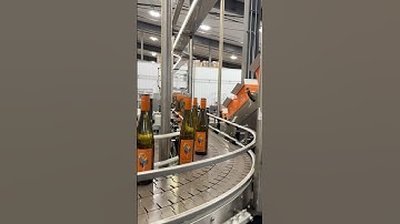 Wine Bottling Line in Motion