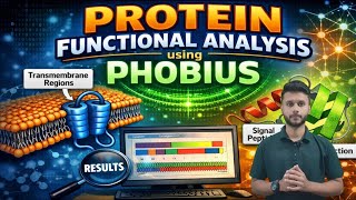 Explore Protein Functional Analysis using Phobius !