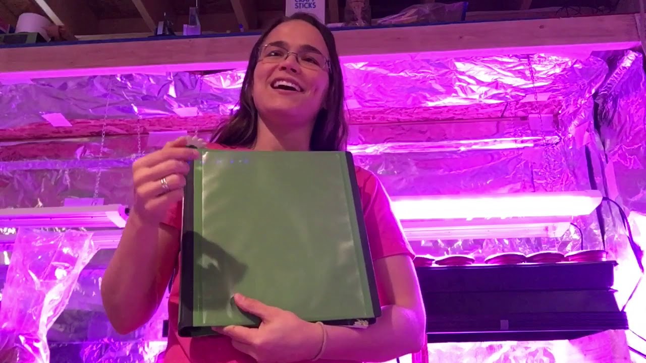 Welcome to Poplar Creek Farm