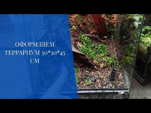 Video: O'zingiz Bajaring Florarium