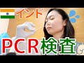 【実録】インドでPCR検査を受けた結果…！？気になる費用・検査方法リアル解説！【新型コロナ】