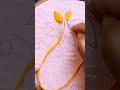 Beautiful embroidery. #embroidery  #shorts #vairalshort #shortvideo #viralvideo