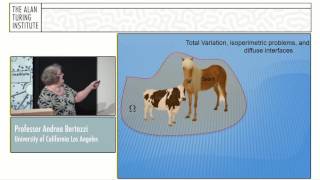 Famous Professor Andrea Bertozzi: "Geometric Graph-Based Methods for High Dimensional Data" Net Worth