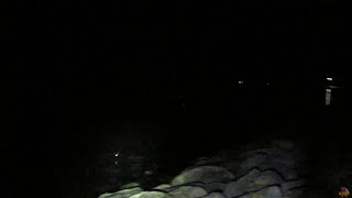 20201013 Myotis daubentonii