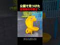 公園の滑り台で遊ぶ子猫たちが可愛すぎたw