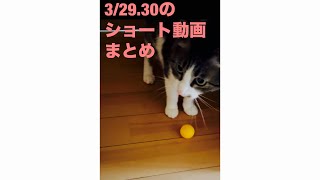 3/29.30のショート動画まとめpart127