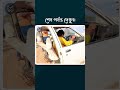 কি হবে যদি একটি কারের মাঝখানে কেটে ফেলা হয়? | #shorts #car_experiment #amazing