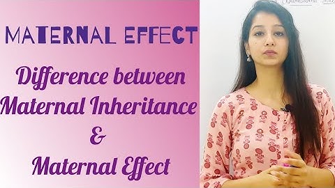 Maternal Effect|Difference between Maternal Inheritance and Maternal Effect|CSIRNET JRF|Gate|Life sc