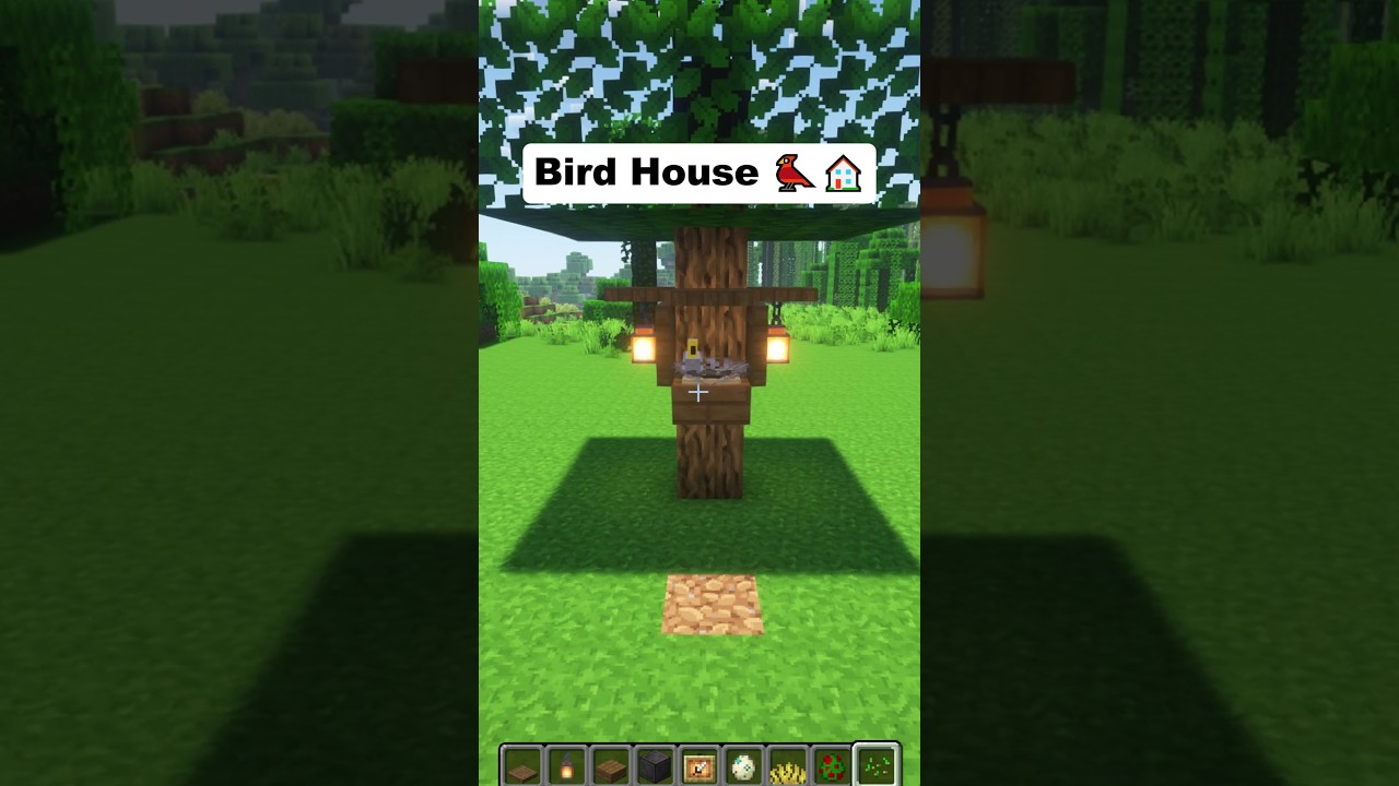 Building a Bird House in Minecraft 🐦🏠