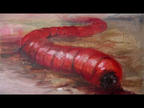 Video: Mongolian Death Worm - Alternativní Pohled