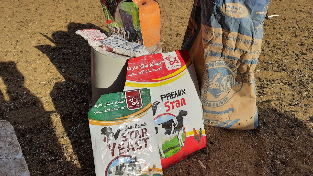 ما هي اضافات الأعلاف للأغنام و الماعز تسمين و تربيه