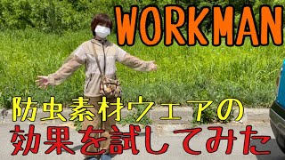 【ワークマン防虫素材ウェアレビュー】WORKMAN 防虫素材ウェアは本当に虫が寄ってこないのか？