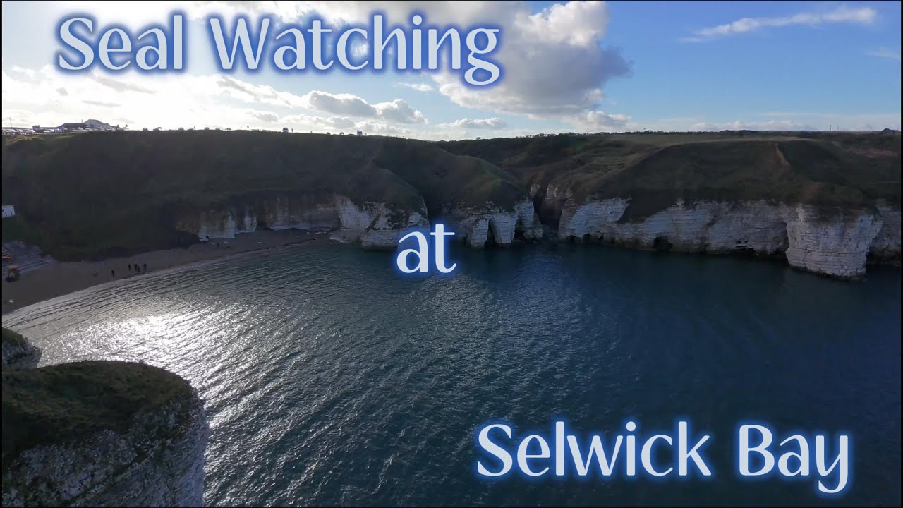 Exploring Selwick Bay & Flamborough Head | Stunning Yorkshire Coast Drone Footage + Seals