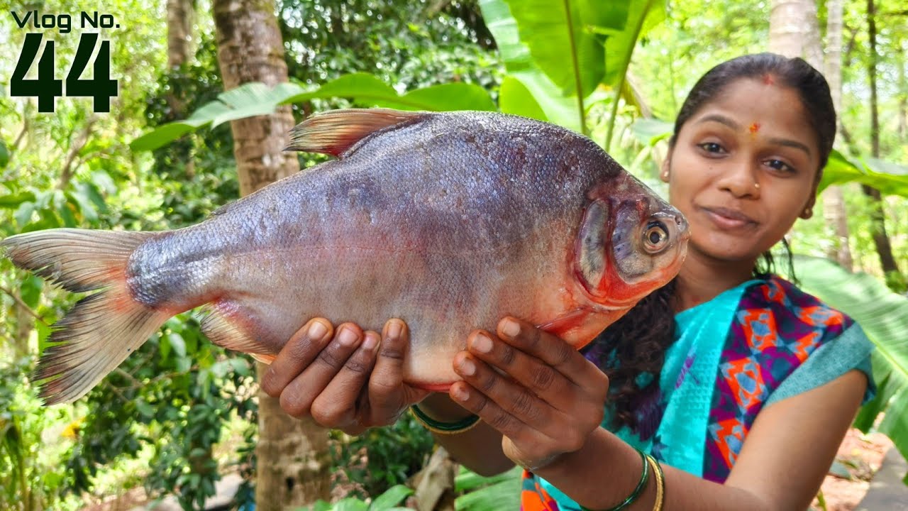 माझा '४४वा' व्लॉग..😊 | कोणता आहे हा मोठा मासा..? | Rohi's Village Lifestyle