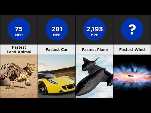 Video: Speed Demons: The Fastest Things On The Planet - Cultuur