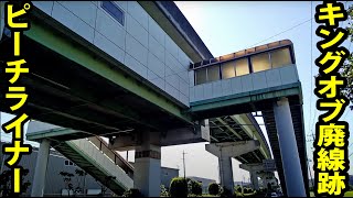 【もったいない…】完成してすぐに廃止された鉄道 「ピーチライナー」をたどる