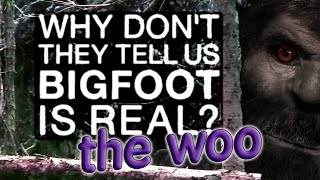 Paranormal Sasquatch: *THE WOO* What IS Bigfoot? @chubbyballsack