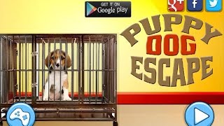 Puppy Dog Escape Walkthrough | Escape Games screenshot 2