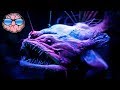 Top 10 CREEPY Deep Sea Creatures You Didn
