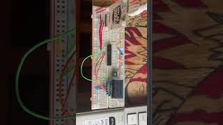 EE 2361 Lab 5 Demo