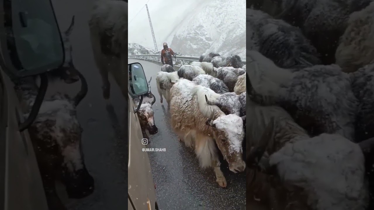 Snowfall at Pakistan China Border.  