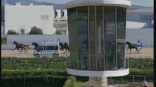 Vidéo de la course PMU PREMI QUINTA