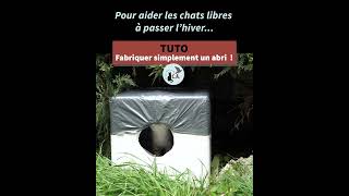 pour Fabriquer simplement un abri pour les chats libres pour Fabriquer simplement un abri pour les chats libres
