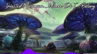 Infected Mushroom - Where Do I Belong [BASS BOOSTED]