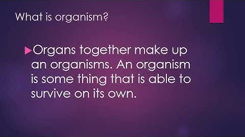 APSACS - OSP - Week 2 - Class 6 - Science - Lecture 4