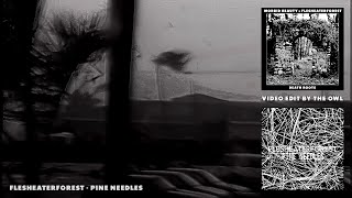 Flesheaterforest video - Pine Needles (Edit by The Owl) Death Industrial Dark Ambient Drone Noise