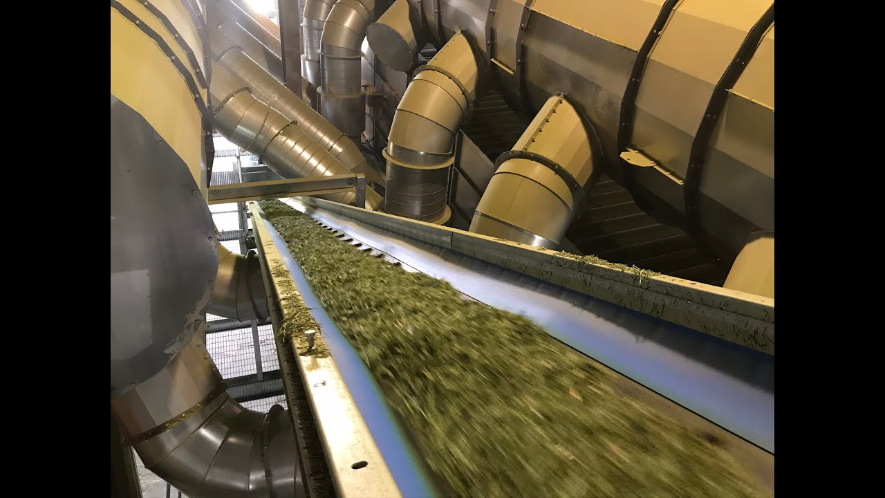 Stacked Perry Belt Drier Drying Grass - YouTube
