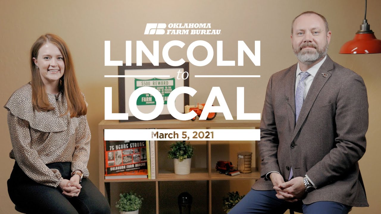Lincoln to Local: Action Alert on ad valorem bill