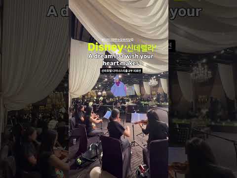신라호텔 다이너스티홀 웨딩연주 디즈니 신데렐라OST A dream is a wish your heart makes