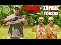 4 BORE Rifle vs Zombie Torsos (The Biggest Rifle Ever !!!)