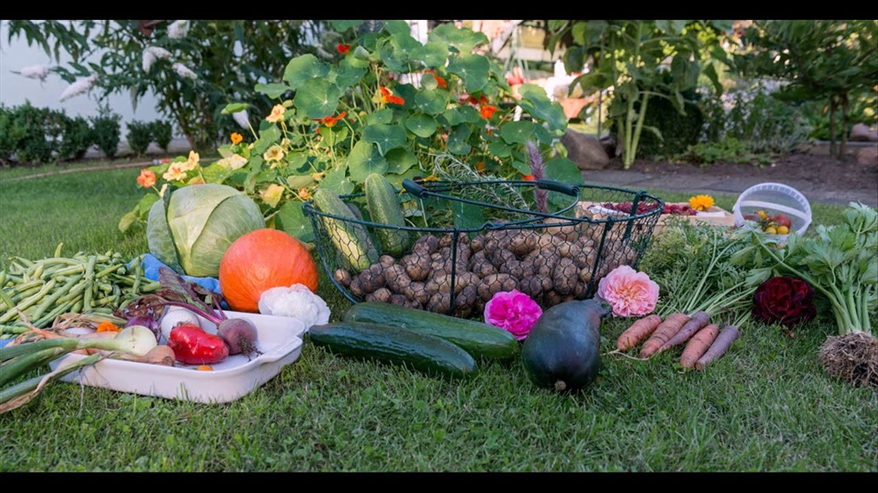 Vegetable Gardening for beginners books - YouTube