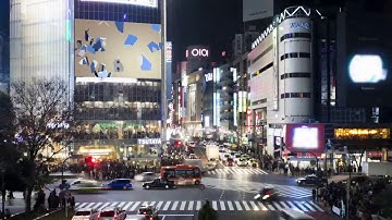 Killer Video Mockups | City Billboard Logo Animation Video Mockup