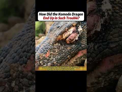 Handwork Manufacturing Build Creativity Repair DIY Challenge Treasurehunt 