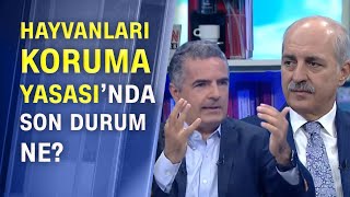 Numan Kurtulmuş Ak Parti Gençlik Kollarının Filmini Değerlendirdi