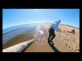 Toter Wal DNA ENTNAHME Ostsee Mikoszewo Polen 10. 05. 2026