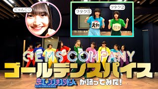 Video thumbnail of "【虹コンが】ゴールデンスパイス/GEMS COMPANY【踊ってみた】"