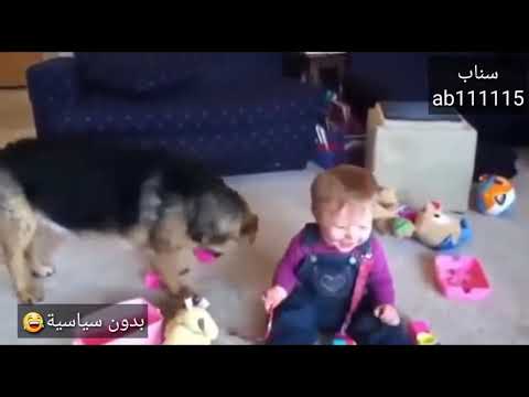 ضحكات بريئة