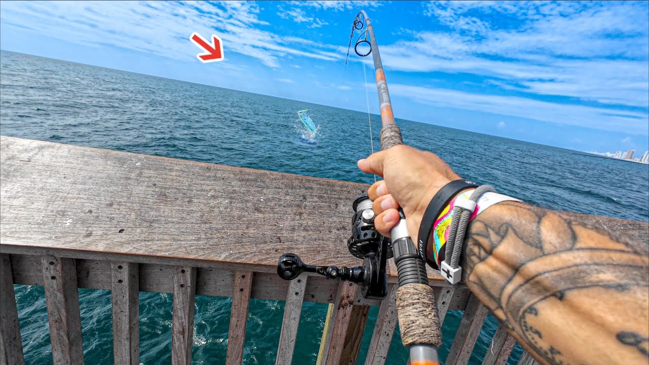 Все мечтали поймать эту рыбу на пирсе Гольф! *Такого ещё не видели*