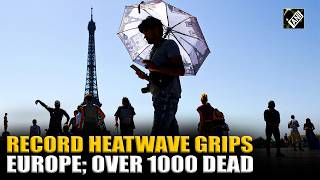Big! Temperature records shattered, over 1000 dead as heatwave disrupts Europe, death toll to rise