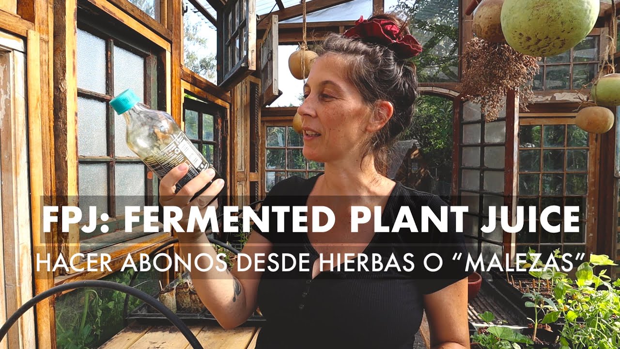 Increíble Abono Orgánico con 