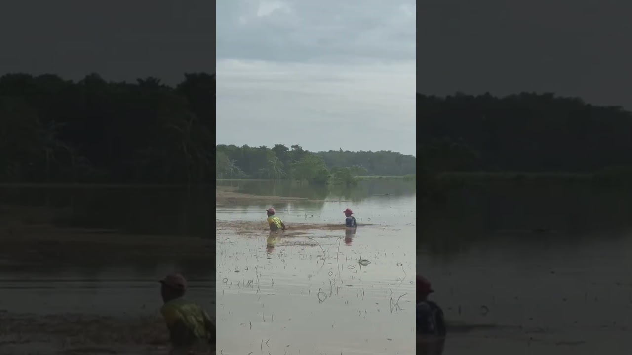 Dugot Pawis Ang puhonan,dahil sa bagyong (Opong) karamihan sa mag sasaka, Wala ng makuha😔