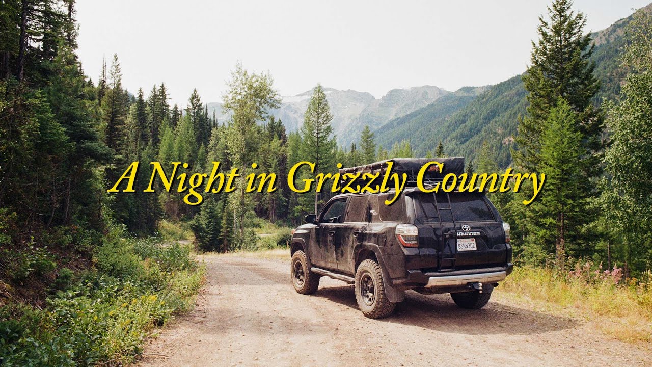 FLY FISHING and ROOFTOP TENT CAMPING in GRIZZLY Country Rocky