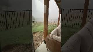 #barncat #fog #sunday #foggy #catsofyoutube