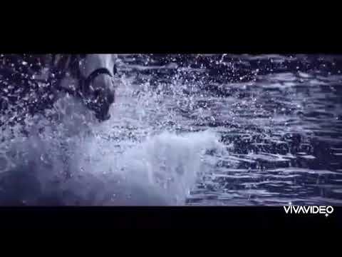 قتل ذنفس الزكيه قبل ظهور الامام المهدي المنتظر عليه سلام 