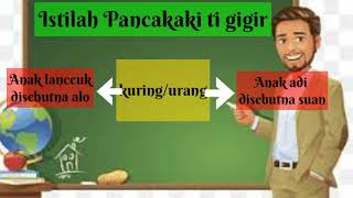 Materi Bahasa Sunda kelas 6 | Istilah Pancakaki | Pangrumat basa Sunda