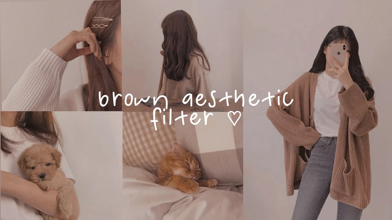 Brown Aesthetic Filter | VSCO Tutorial